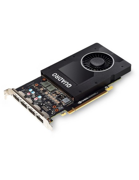 EIZO MED-XN72 scheda video NVIDIA Quadro P2200 5 GB GDDR5X