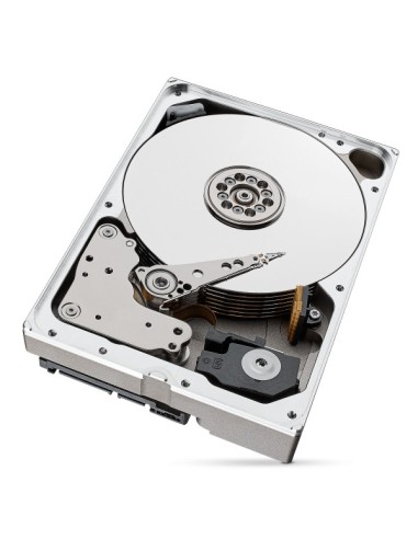 Seagate IronWolf Pro ST10000NT001 disco rigido interno 3.5" 10 TB