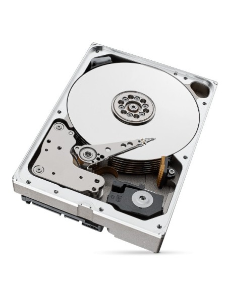 Seagate IronWolf Pro ST10000NT001 disco rigido interno 3.5" 10 TB
