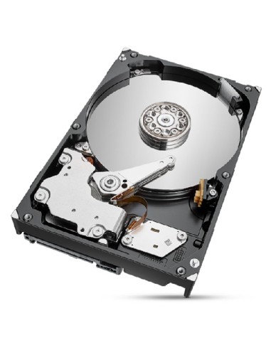 Seagate IronWolf Pro ST2000NT001 disco rigido interno 3.5" 2 TB