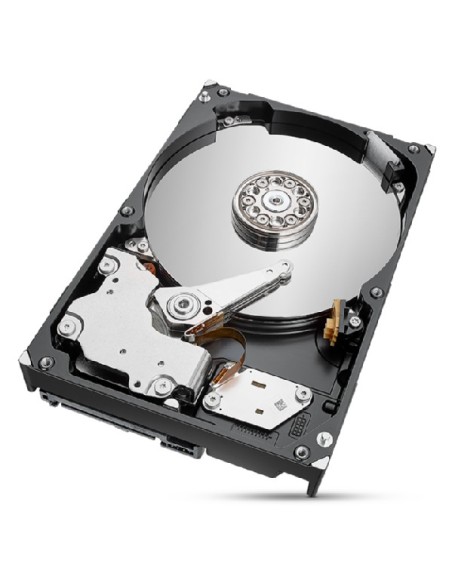 Seagate IronWolf Pro ST2000NT001 disco rigido interno 3.5" 2 TB