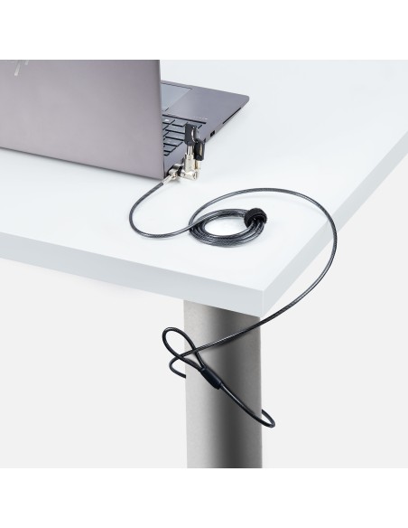 StarTech.com Cavo di Sicurezza Universale per Laptop (2m), Dispositivo di Blocco per Notebook Compatibile con Noble
