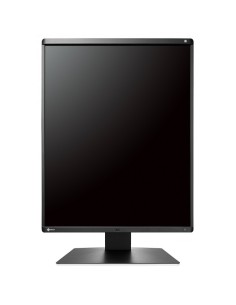 EIZO RadiForce GX560 Monitor PC 54,1 cm (21.3") 2048 x 2560 Pixel LCD Nero 2