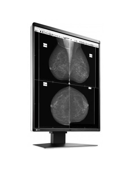 EIZO RadiForce GX560 Monitor PC 54,1 cm (21.3") 2048 x 2560 Pixel LCD Nero