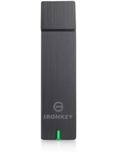 Kingston Technology D250 unità flash USB 32 GB USB tipo A 2.0 Grigio