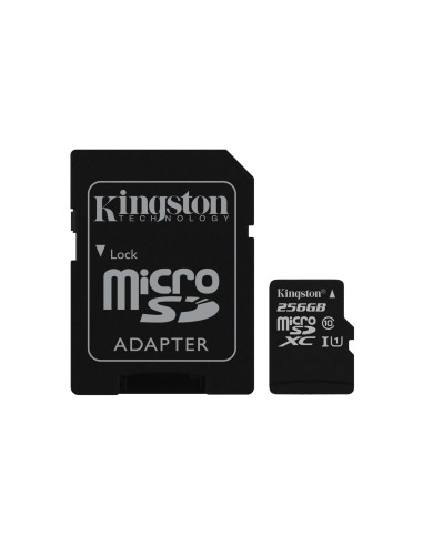 Kingston Technology SDC10G2 256 GB MicroSDXC UHS-I Classe 10