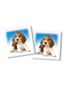 Clementoni Memo - Cuccioli 2