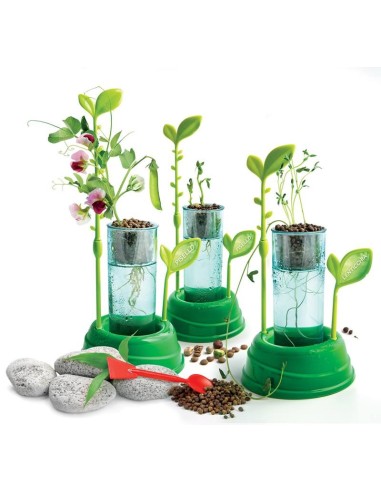 Clementoni Botanica E Idrocultura