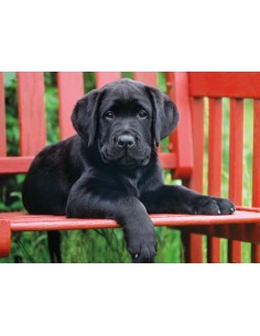 Clementoni The Black dog Puzzle 500 pz Animali 2
