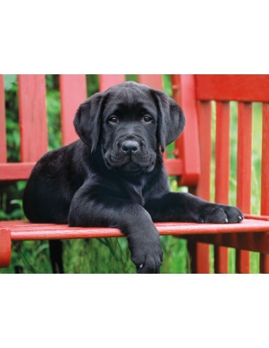 Clementoni The Black dog Puzzle 500 pz Animali