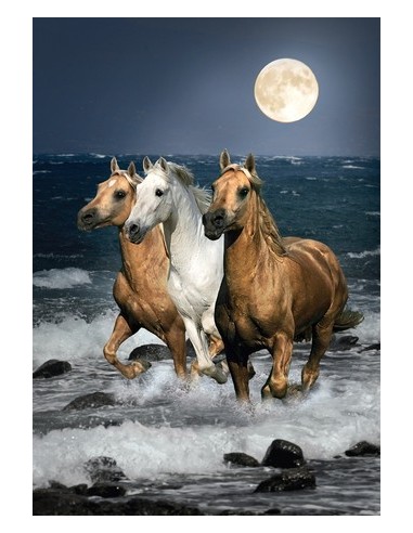 Clementoni Cavalli in corsa Puzzle di contorno 1500 pz Animali