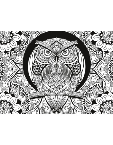 Clementoni Owl - 500 pezzi