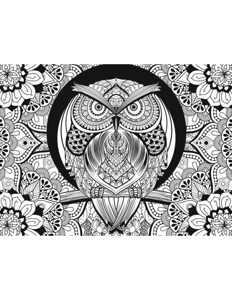 Clementoni Owl - 500 pezzi