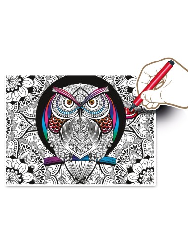Clementoni Owl - 500 pezzi