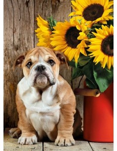 Clementoni 39365 puzzle 1000 pz Animali 2