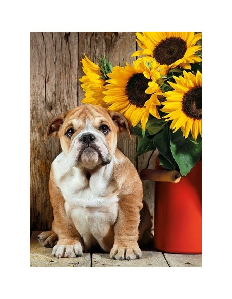 Clementoni 39365 puzzle 1000 pz Animali