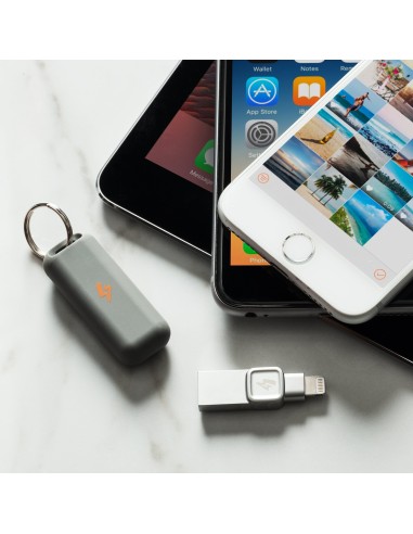 Kingston Technology DataTraveler Bolt Duo unità flash USB 64 GB USB Type-A   Lightning 3.2 Gen 1 (3.1 Gen 1) Argento