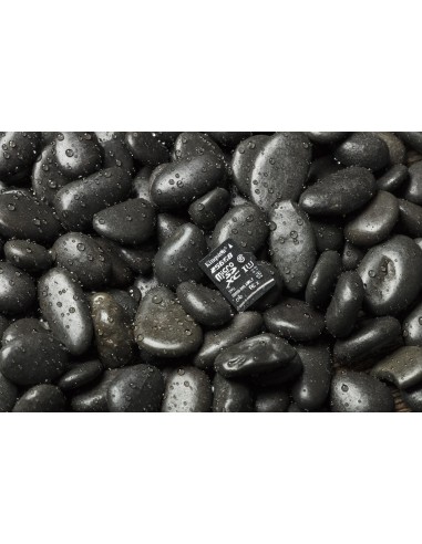 Kingston Technology Canvas Select 32 GB MicroSDHC UHS-I Classe 10