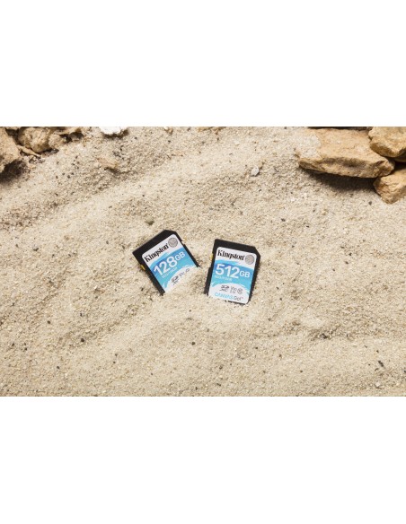 Kingston Technology Canvas Go! 128 GB SDXC UHS-I Classe 10