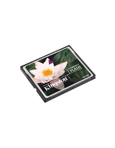 Kingston Technology 4GB CF Card CompactFlash Flash
