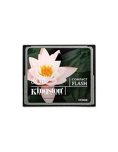 Kingston Technology 8GB CF Card CompactFlash Flash