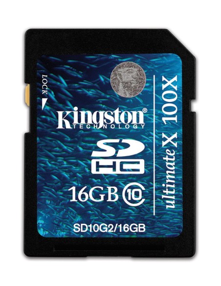 Kingston Technology 16GB SDHC Card Flash