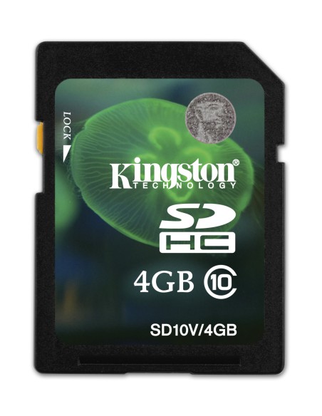 Kingston Technology SD10V 4GB memoria flash SDHC Classe 10