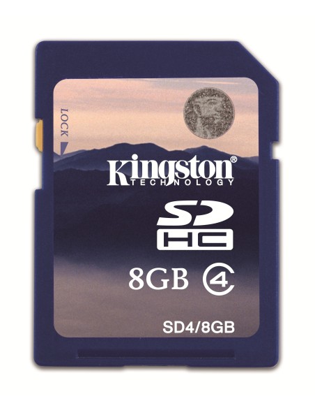 Kingston Technology SD4 8GB memoria flash SDHC Classe 4