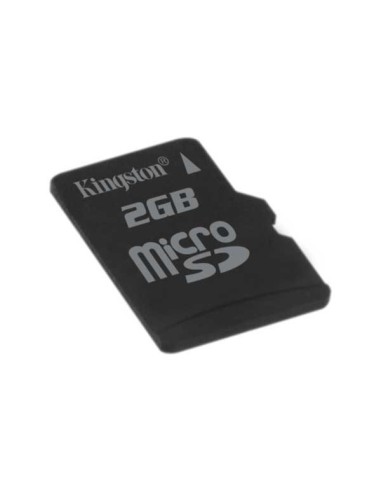 Kingston Technology 2GB microSD