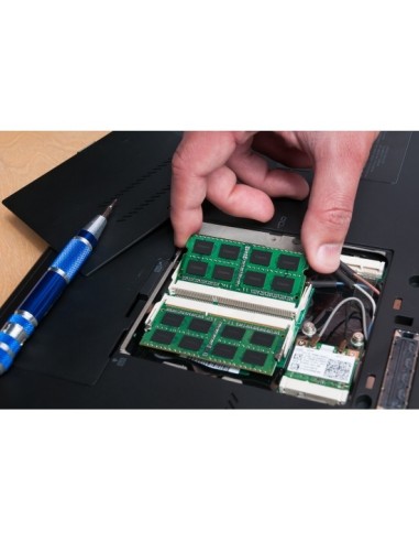 Kingston Technology KTL-TN429E 8G memoria 8 GB 1 x 8 GB DDR4 2933 MHz Data Integrity Check (verifica integrità dati)