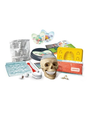 Clementoni Science & Jeu laboratoire 19212 giocattolo e kit di scienza per bambini