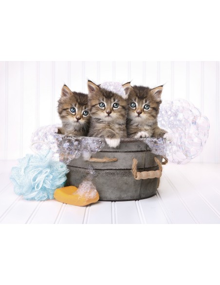 Clementoni Kittens and soap Puzzle 500 pz Animali