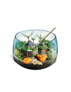 Clementoni 19248 giocattolo e kit di scienza per bambini