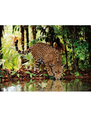 Clementoni Leopard Puzzle 2000 pz Fauna