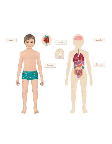 Clementoni Montessori Il corpo umano