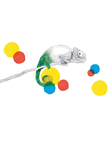 Clementoni Montessori Un mondo a colori