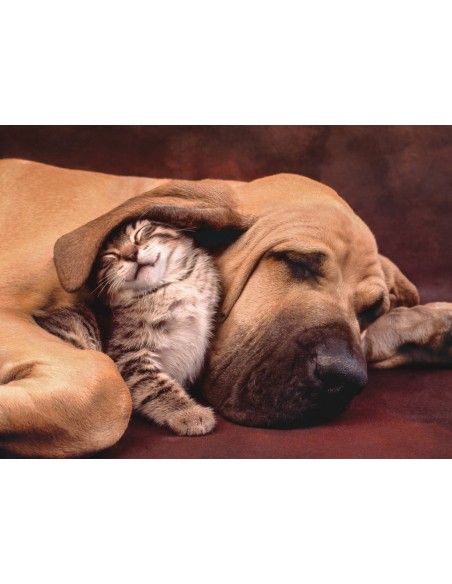 Clementoni Cuddles Puzzle 500 pz Animali