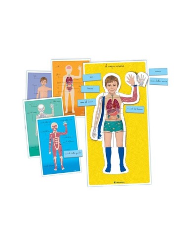 Clementoni MONTESSORI - IL CORPO UMANO