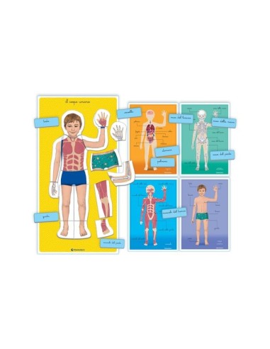 Clementoni MONTESSORI - IL CORPO UMANO