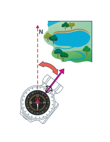 Clementoni Science & Jeu laboratoire ALLA SCOPERTA DELLA NATURA