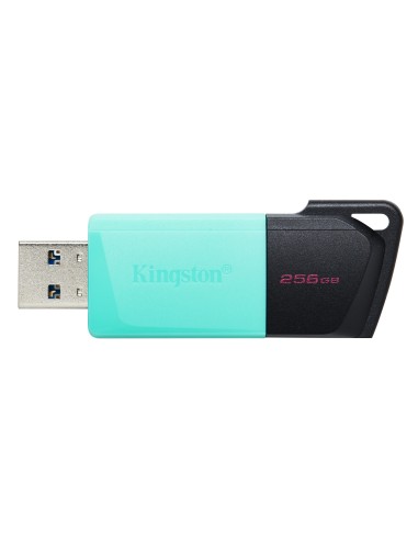 Kingston Technology DataTraveler 256GB USB3.2 Gen1 Exodia M (Nero + Verde ottanio)