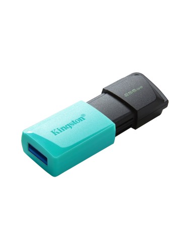 Kingston Technology DataTraveler 256GB USB3.2 Gen1 Exodia M (Nero + Verde ottanio)