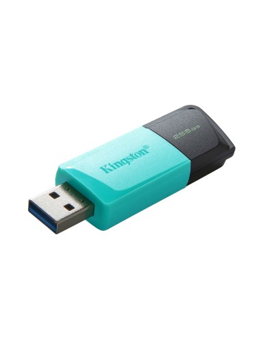 Kingston Technology DataTraveler 256GB USB3.2 Gen1 Exodia M (Nero + Verde ottanio)