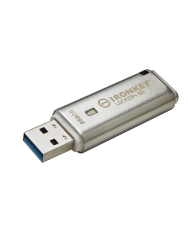 Kingston Technology IronKey 256GB Locker Plus 50 AES Encryption