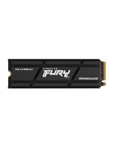 Kingston Technology 4000G RENEGADE PCIe 4.0 NVMe SSD W  Dissipatore di calore