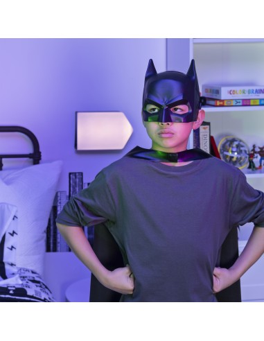 DC Comics Batman