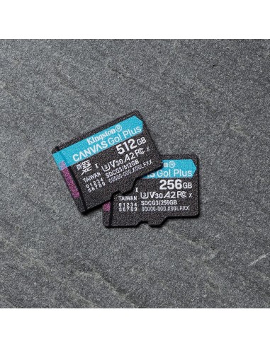 Kingston Technology Scheda microSDXC Canvas Go Plus 170R A2 U3 V30 da 512GB confezione singola senza adattatore