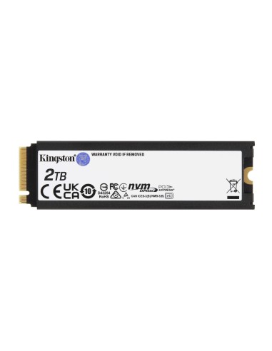 Kingston Technology 2000G RENEGADE PCIe 4.0 NVMe SSD W  Dissipatore di calore