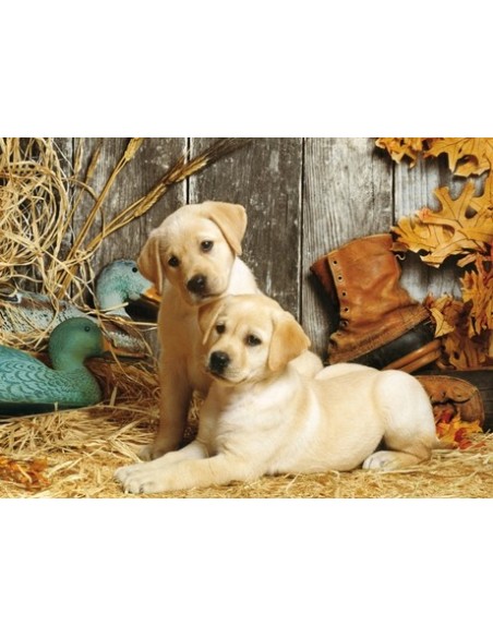 Clementoni Hunting dogs Puzzle di contorno 1500 pz Animali