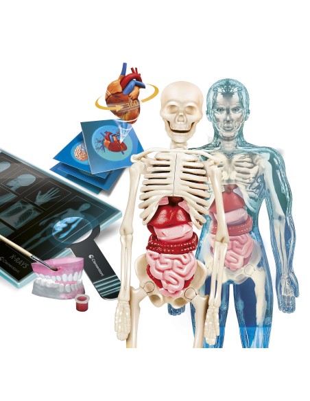Clementoni Science & Jeu laboratoire - Scienza & Gioco Lab - Anatomia